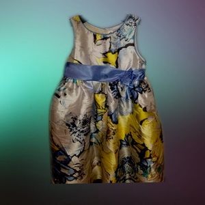 Elegant little girls dress